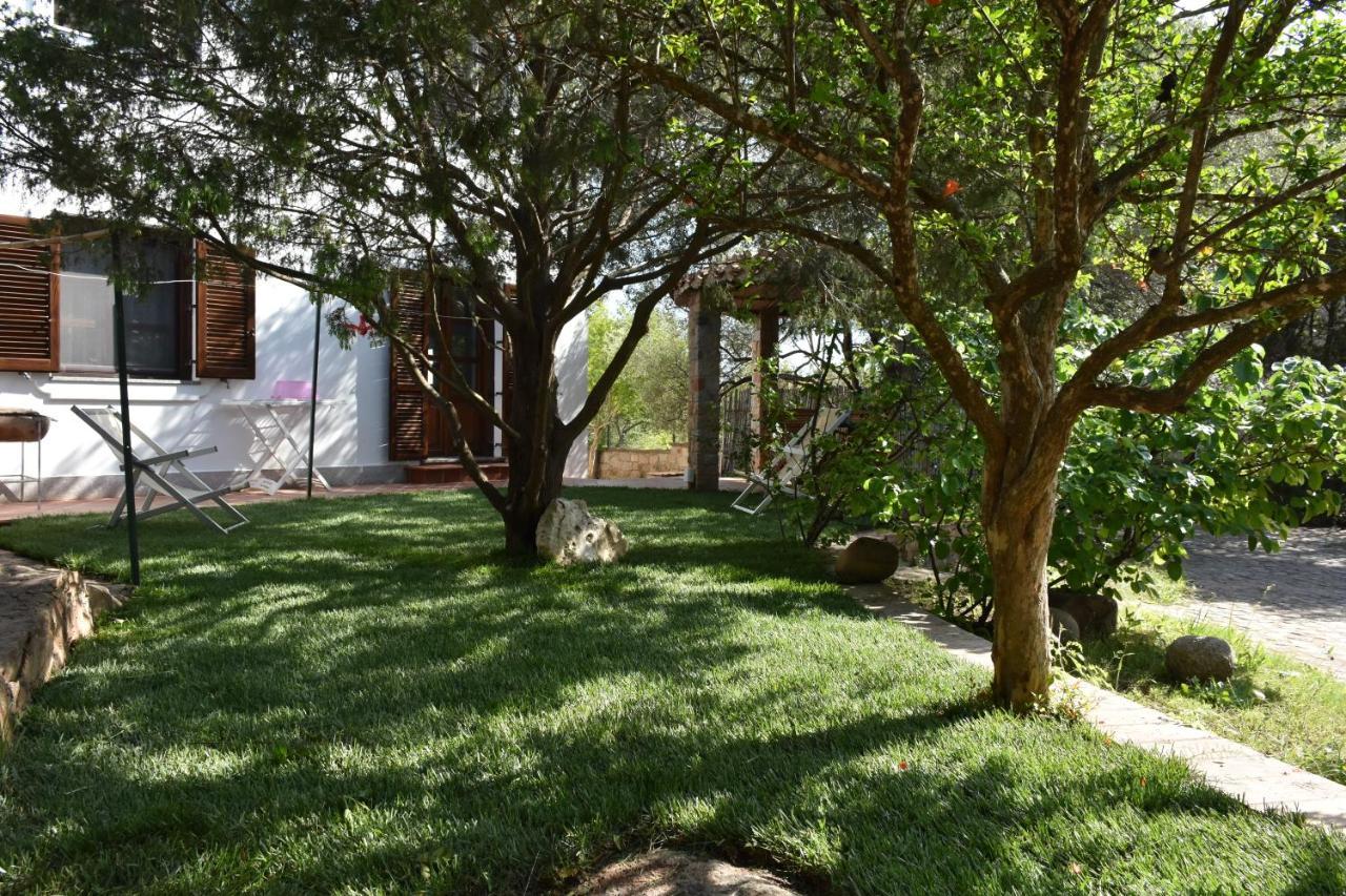 Villa Juniper Santa Maria Navarrese Εξωτερικό φωτογραφία